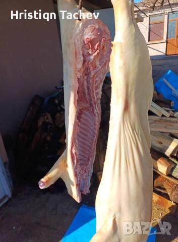 домашни прасета , снимка 2 - Домашни продукти - 53571710