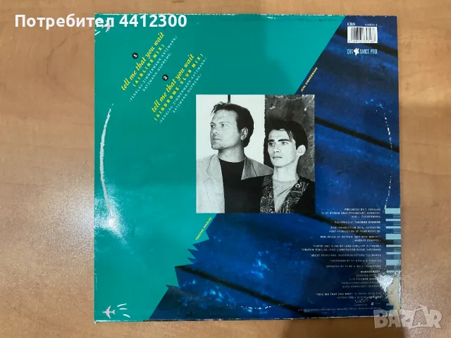 Грамофонна плоча 12”, снимка 2 - Грамофонни плочи - 50114887