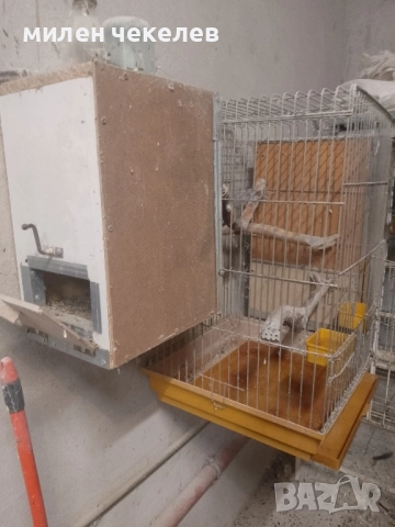 клетка за средни папагали за развъждане