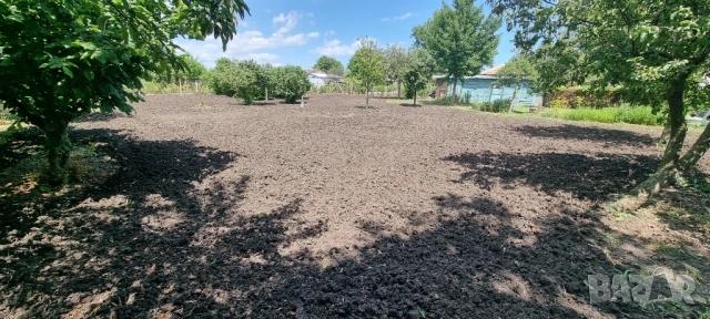 Парцел в регулация, бунгало, ток, вода, сондаж, овощни дръвчета., снимка 3 - Парцели - 53813164