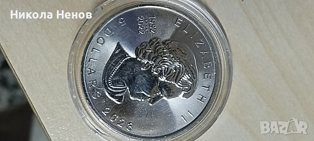 Сребърни монети  9999 1унция 31.1гр., снимка 5 - Нумизматика и бонистика - 44765037