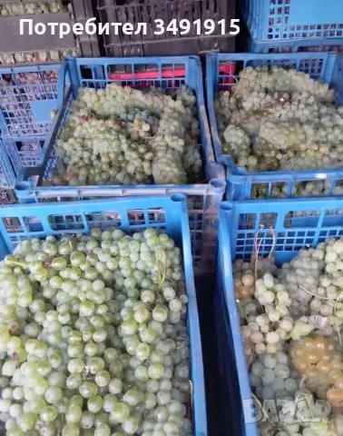 Продавам грозде