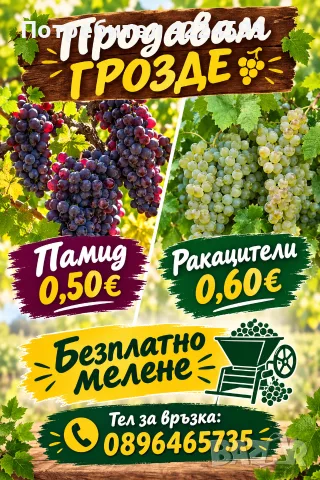 Продавам грозде🍇