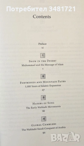 Двете лица на Исляма / The Two Faces of Islam. The House of Saud from Tradition to Terror, снимка 4 - Художествена литература - 53750042
