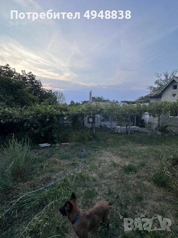 къща в село Кошничари, снимка 2 - Къщи - 56066016