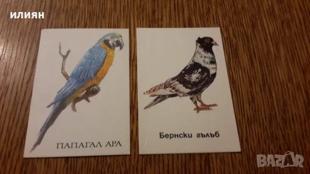 Стари календарчета 15лв за всички , снимка 6 - Колекции - 48228292