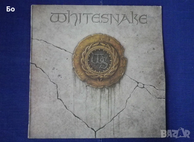 грамофонни плочи WhiteSnake , снимка 14 - Грамофонни плочи - 52474021