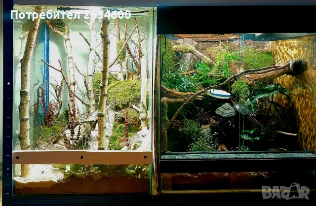 аквариуми и терариуми , снимка 6 - Терариуми и оборудване - 49408460