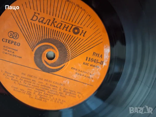  На гости на бяло сладко ВНА 11045, снимка 4 - Грамофонни плочи - 49534247