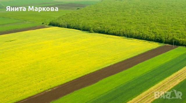 Купувам ЗЕМЕДЕЛСКА ЗЕМЯ всички землища в Община Камено