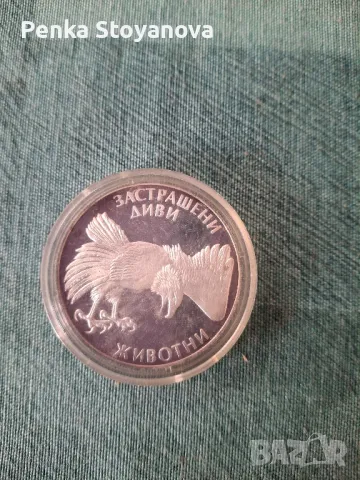  100 лева сребърна монета от 1992г СКАЛЕН ОРЕЛ , снимка 4 - Нумизматика и бонистика - 48786347