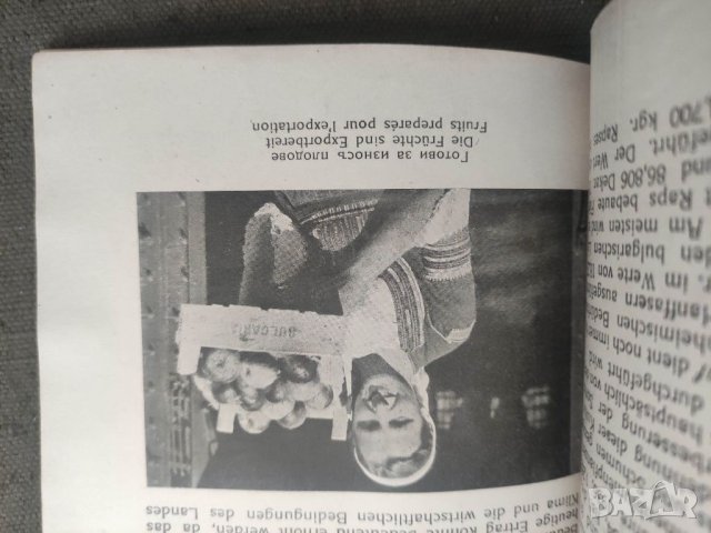 Продавам книга "Земеделското стопанство в България 1937, снимка 3 - Специализирана литература - 41473185
