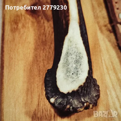 Ловен нож на Хр. Метев Нов!, снимка 15 - Ножове - 49885133