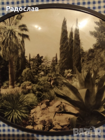 СССР сувенир пано за стена Сочи, снимка 2 - Декорация за дома - 52434011