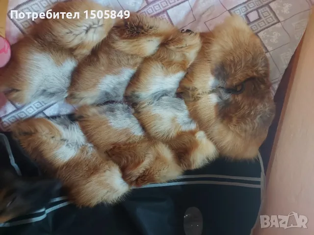 Елек от естествен косъм, снимка 18 - Елеци - 27126411