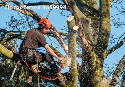 Строителна Фирма Димитрови , снимка 6 - Ремонти на покриви - 52562688