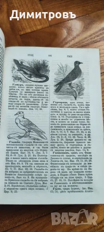 Ръчникъ на Свято-то писание“ 1884г , снимка 5 - Антикварни и старинни предмети - 55836196