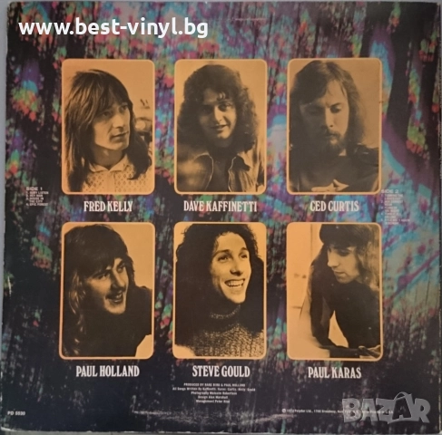 Грамофонна Плоча (Rare Bird - Epic Forest), снимка 2 - Грамофонни плочи - 52771527