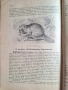 100-годишна антикварна ценност: „Зоология“ (1926) – Изд. Хр. Г. Данов, снимка 1