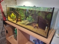 Три  Аквариума , снимка 10