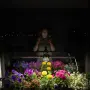 Универсална LED лампа за растения SUNLIGHT 25W PRO 1.0  , снимка 6