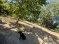 Вила/къща над манастир св. Георги с. Белащица, снимка 11