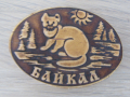 Автентичен магнит от езерото Байкал, Русия-серия-18, снимка 2