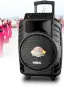 Караоке тонколона за караоке партита, улични музикални, официални събития - FS-15019 - Гаранция 12 м, снимка 2