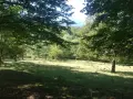 Два имота в Априлци, близо до манастир и река!, снимка 7