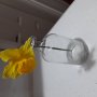 Стъклена  ваза