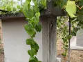 продавам хубава селска къща, снимка 5