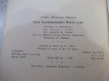 Книга "Гогол-художник реалист-Мъртви души-Г.Германов"-120стр, снимка 8