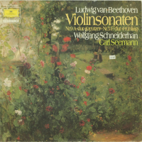 Violin Sonaten-Грамофонна плоча-LP 12”, снимка 1 - Грамофонни плочи - 36349911