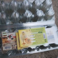 опаковки за 10 яйца, снимка 5 - За птици - 41550789