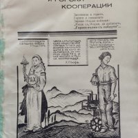 Гори и горски кооперации Петъръ Чолаковъ-Заринъ, снимка 1 - Антикварни и старинни предмети - 41506036