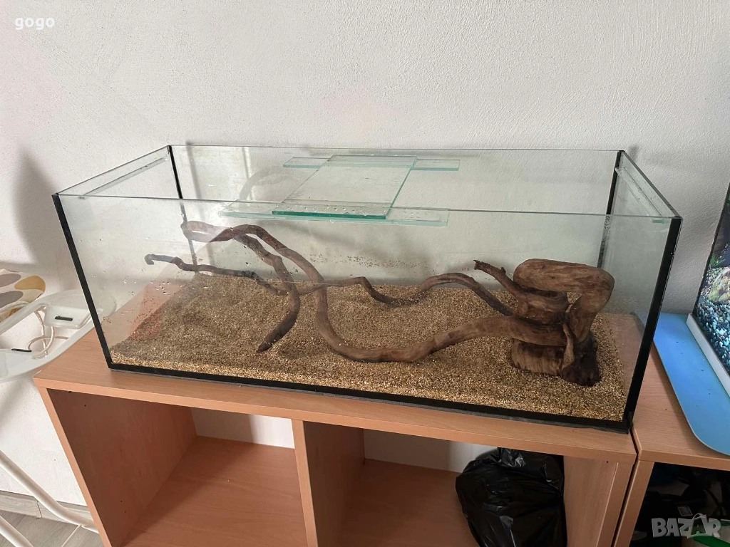 Корен за Аквариум , снимка 1