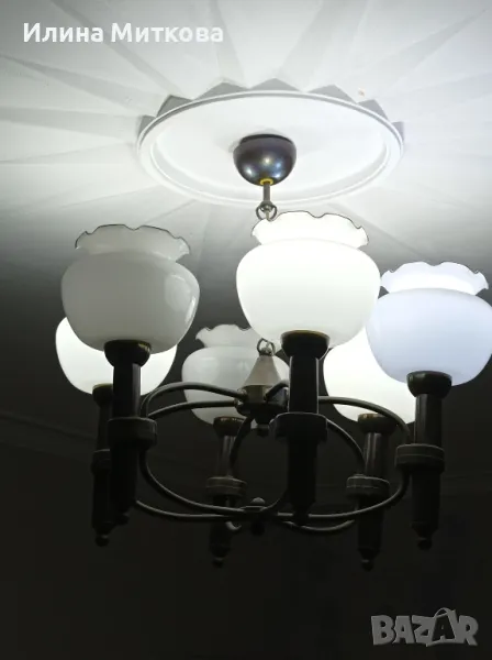 Полилей , снимка 1