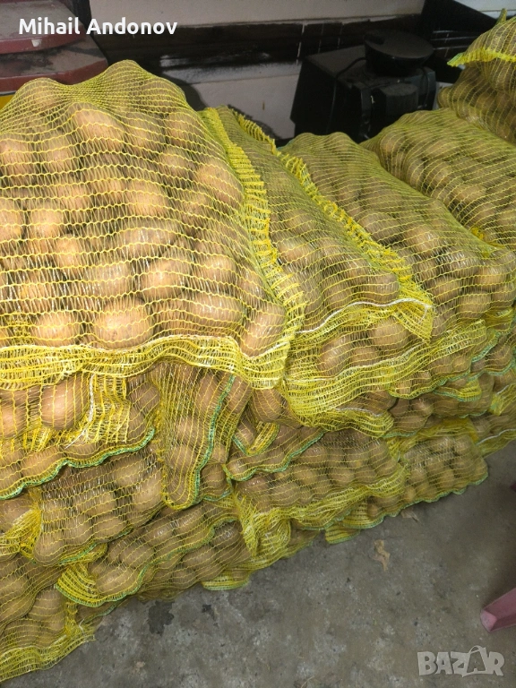 Родопски картофи за комсумация, снимка 1