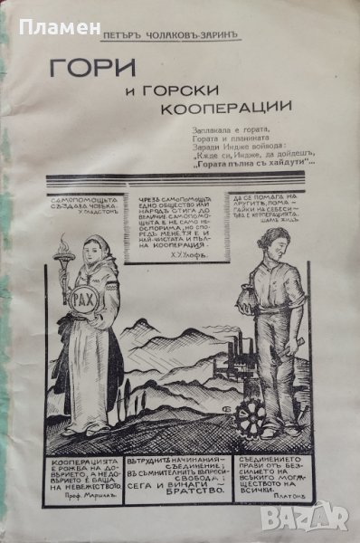 Гори и горски кооперации Петъръ Чолаковъ-Заринъ, снимка 1