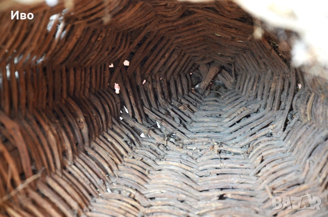 Тръвна, снимка 13 - Декорация за дома - 53814407