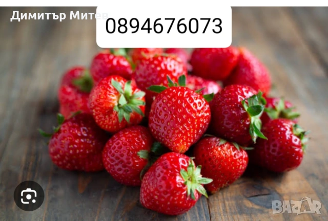 Продавам разсат ягоди , снимка 10 - Разсади - 52135042