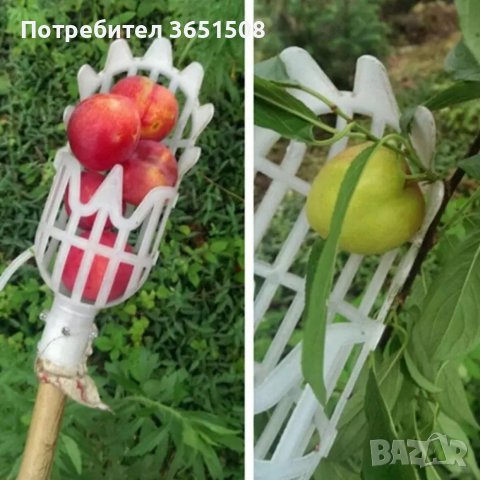 Берачка за плодни дръвчета, снимка 3 - Градински инструменти - 39821945