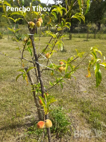 Продавам парцел в регулация и зем. земя в с. Враниловци., снимка 10 - Парцели - 51936556