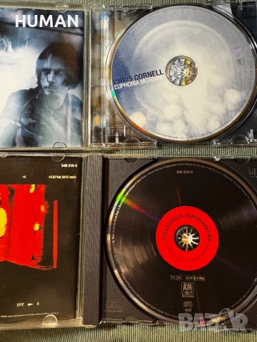 Alice In Chains - Soundgarden - Pearl Jam - Nirvana - Chris Cornel, снимка 11 - CD дискове - 51446892