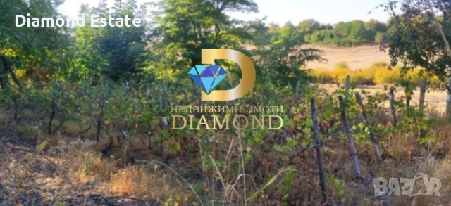 Къща в село Козаревец, обл. Стара Загора, снимка 12 - Къщи - 51887549