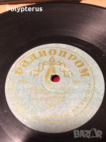 Стара българска шеллакова плоча, снимка 4 - Грамофонни плочи - 53532733