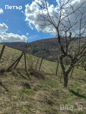 Продаваме наследствена вила(къща) на 45 км от София, снимка 15 - Къщи - 52663804