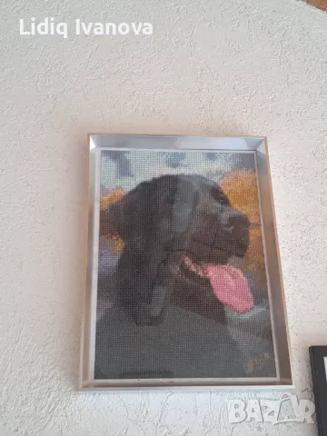 Диамантен гоблен черен лабрадор-готов и рамкиран, снимка 4 - Гоблени - 50068847