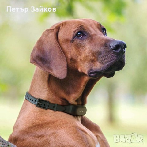 Вибрационна яка с дистанционно управление, снимка 2 - За кучета - 40940430