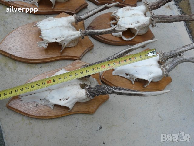 Стари немски трофейчета - 6 броя, снимка 3 - Антикварни и старинни предмети - 42214796